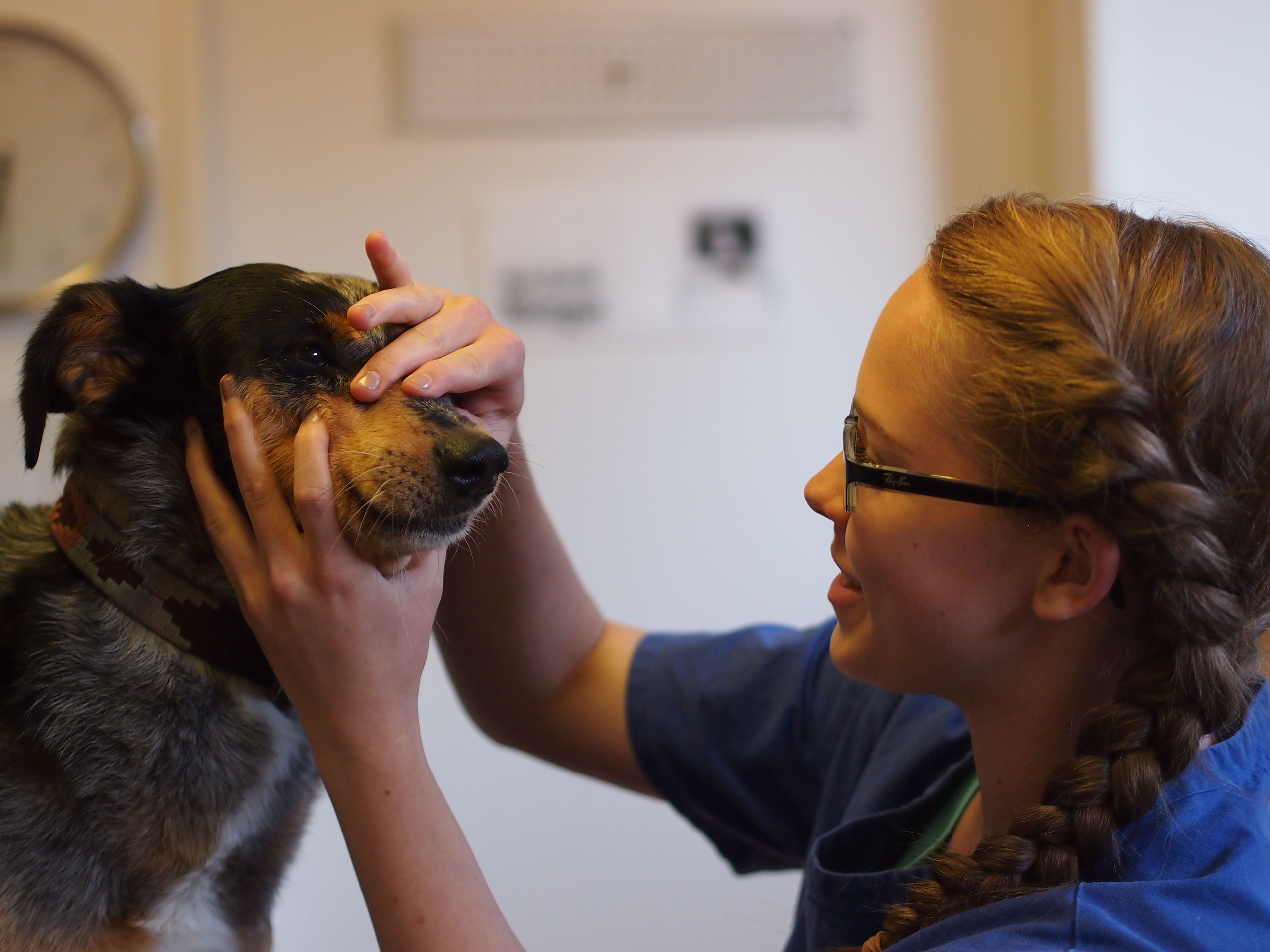 Liebevolle Betreuung bei Routineuntersuchungen ebenso wie in Notfällen.